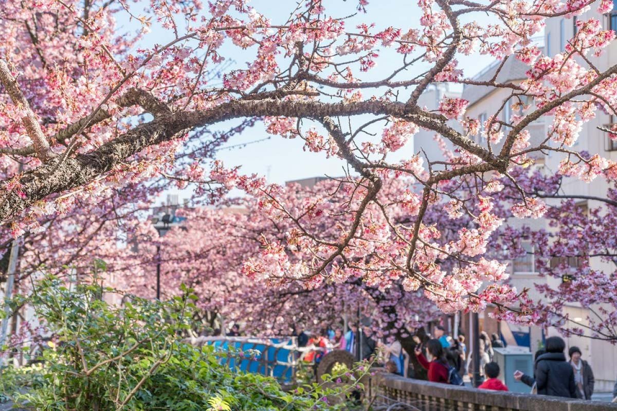 🎆 아타미 친수공원 이미지 5